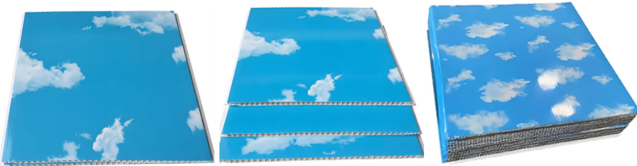 Fábrica de diseño de techos de paneles de PVC
